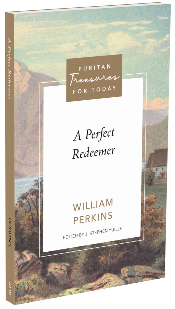 A Perfect Redeemer — 3D view