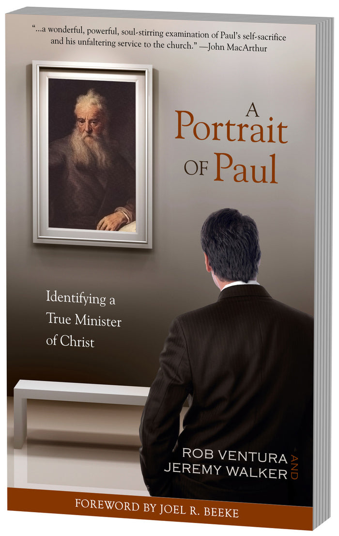 A Portrait of Paul — 3D view