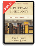 A Puritan Theology