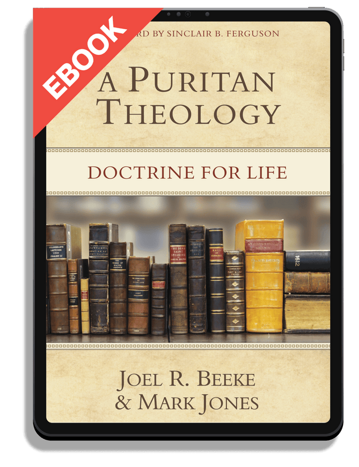 A Puritan Theology