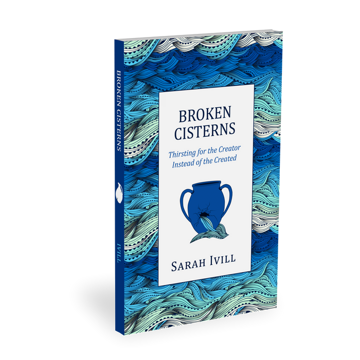 Broken Cisterns — 3D view