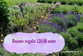 Buono regalo da 120 euro