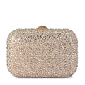 CASEY HOT FIX ENCRUSTED CLUTCH
