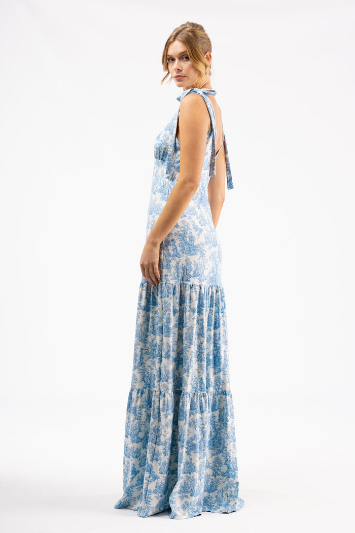 Clementine Dress in Skylight Toile