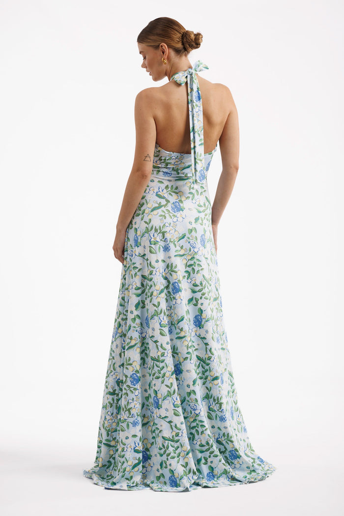Fallon Dress in Craspedia Darling