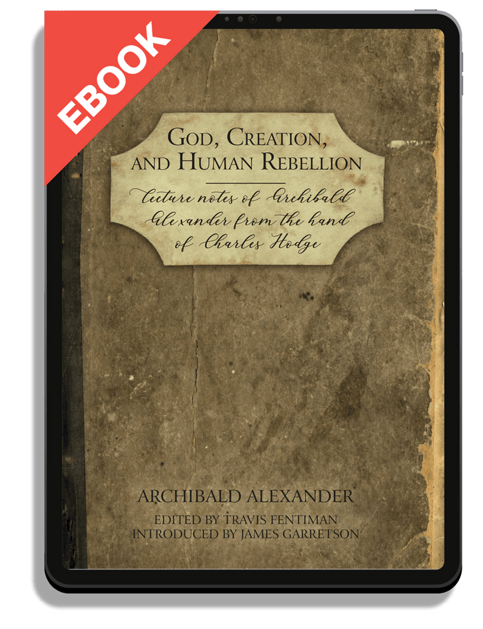 God, Creation, and Human Rebellion