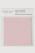Jenny Yoo Taffeta Swatch Card