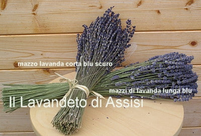 Mazzi di lavanda essiccata, lavanda essiccata, lavanda essiccata vendita online, lavanda per composizioni floreali, lavanda per addobbi, lavanda secca, fiori di lavanda secchi, fiori di lavanda blu, fiori di lavanda per segnaposto matrimonio. Prodotti alla lavanda. prodotti alla lavanda vendita online, fasci di lavanda, mazzi di lavanda online. Mazzi di lavanda