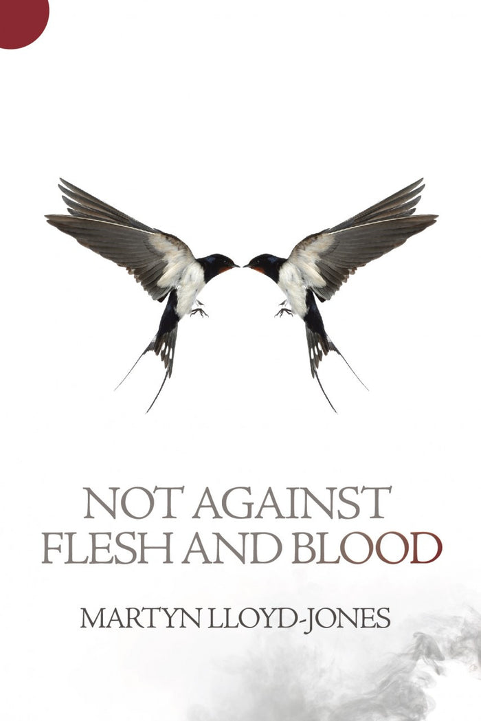 Not Against Flesh And Blood: The Battle Against Spiritual Wickedness in High Places
