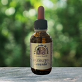 L'oleolito di lavanda è un estratto naturale ricco ottenuto dall'immersione dei fiori di lavanda nell'olio. Lenisce la pelle e offre un aroma rilassante per massaggi o cure della pelle.