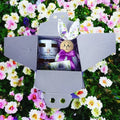 pasqua regalo scatolina con coniglietto decorativo e miele regalo pasquale originale