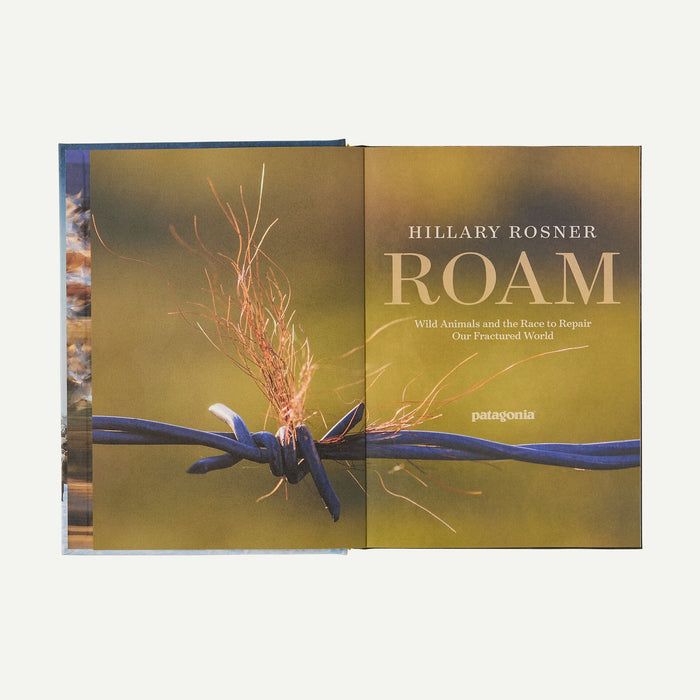 Roam (Hardcover)