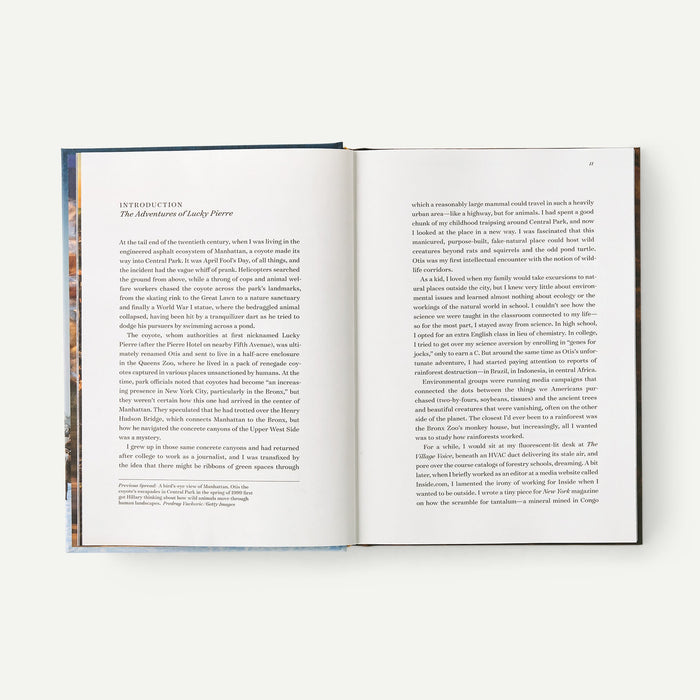 Roam (Hardcover)