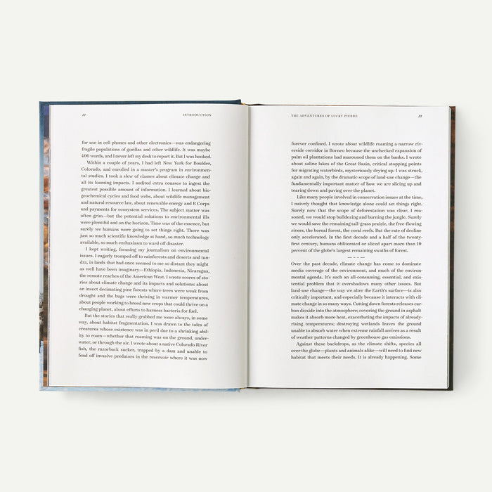Roam (Hardcover)