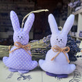 coniglio in stoffa, coniglietto in stoffa, coniglio per bomboniere, sacchetti lavanda a forma di coniglio, idee regalo originali, idee regalo fatte a mano, idee regalo Pasqua, prodotti alla lavanda vendita online