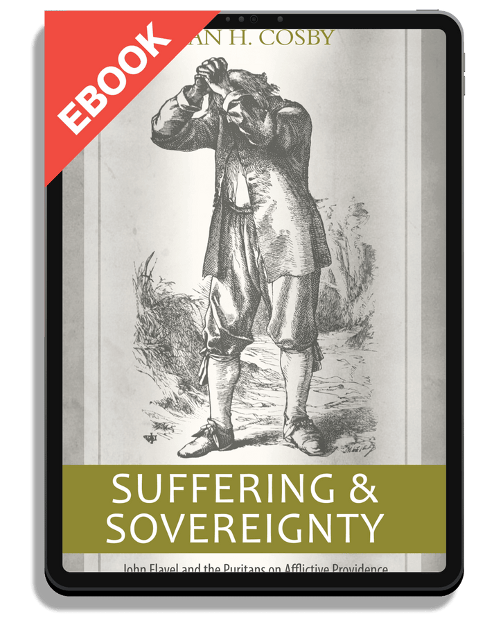 Suffering and Sovereignty