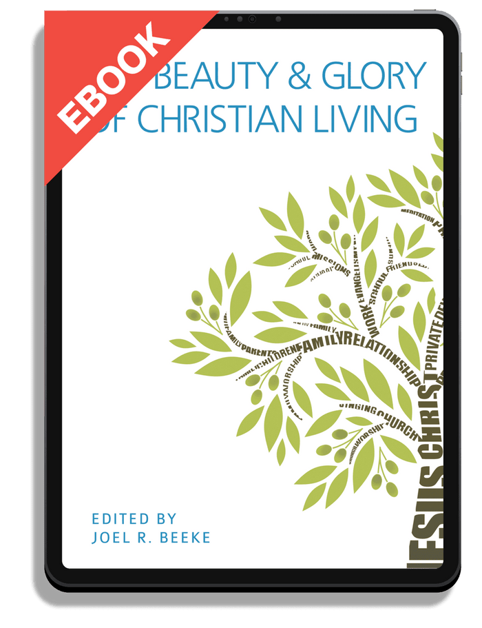 The Beauty and Glory of Christian Living