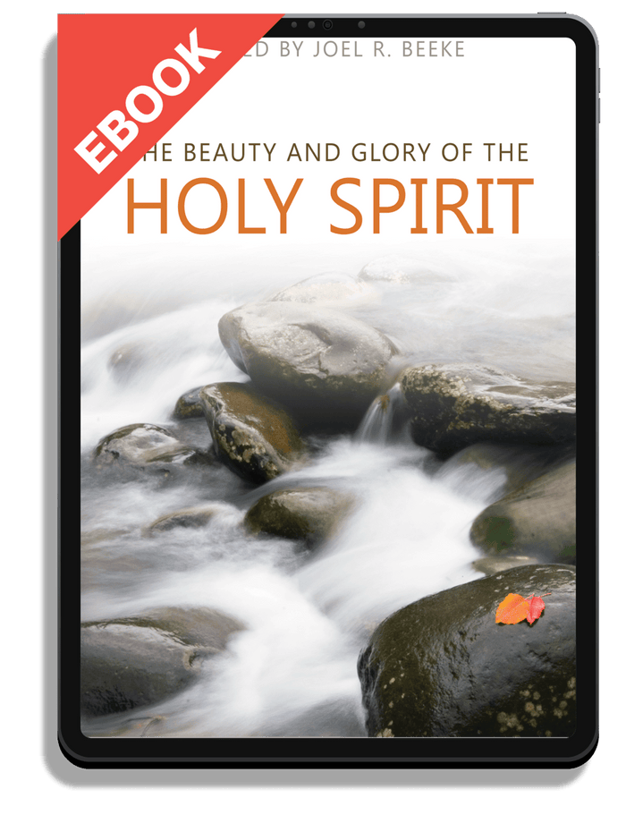 The Beauty and Glory of the Holy Spirit