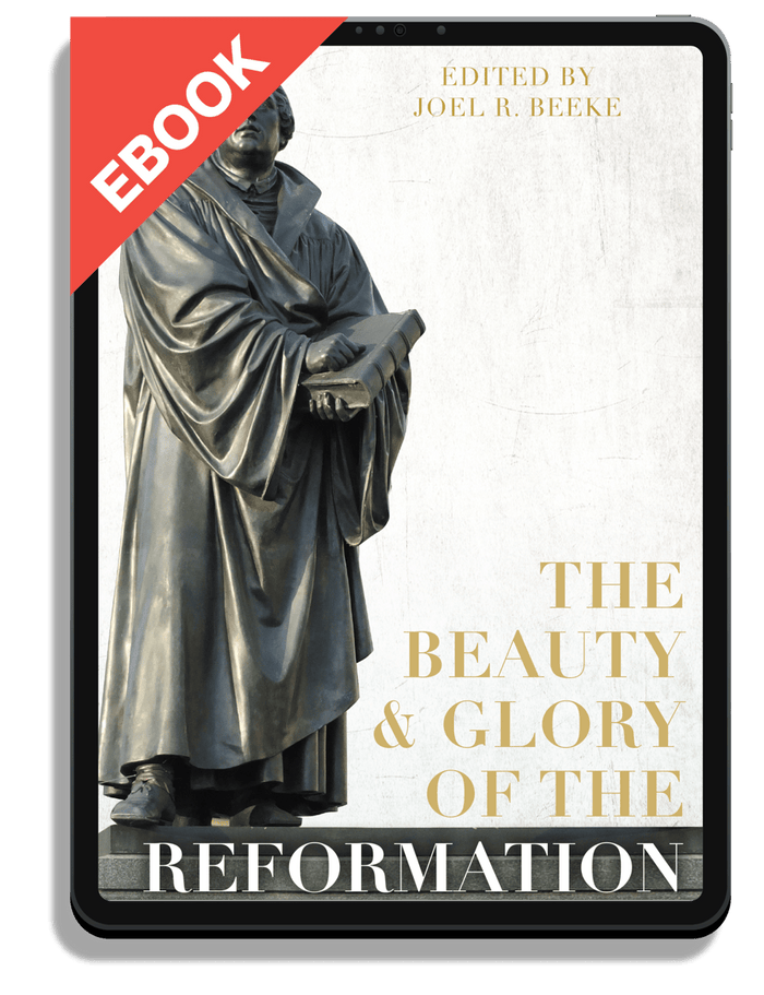 The Beauty and Glory of the Reformation