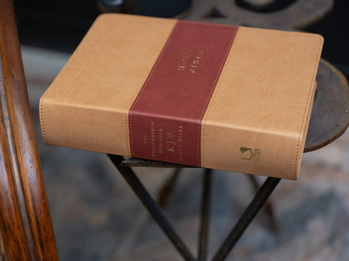 The Reformation Heritage KJV Study Bible — Leather-Like, Two-Tone Brown