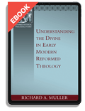 Understanding the Divine in Early Modern Reformed Theology