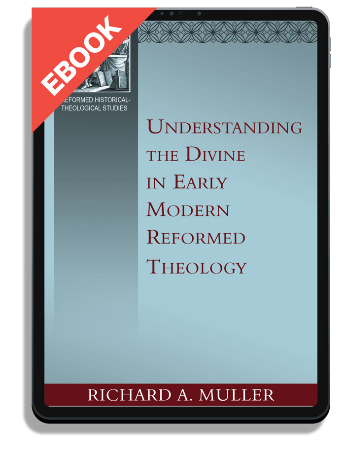 Understanding the Divine in Early Modern Reformed Theology