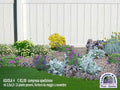 aiuola con sassi e piante, aiuola con sassi dai da te, giardino con sassi e piante, giardino roccioso. aiuola giardino roccioso, aiuola con piante perenni, progetti giardino gratuiti, progetti gratuiti giardino, aiuola con santolina, aiuola con elicriso,  aiuola con verbena pulchella aiuole con sassi e piante perenni