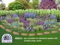 Vendita piante online, idee per piccoli giardini, creare un' aiuola con piante perenni, aiuole fai da te, immagini di aiuole giardino. progetti giardini fai da te, bordure per perenni, piante da giardino al sole