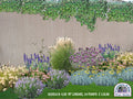 Un'aiuola con lavanda, erbacee perenni, graminacee e arbusti di salvia da fiore . giardino fa da te, giardino economico fai da te, aiuole fai da te, progettazione giardini, aiuola con elicriso, aiuola con stipa, aiuola a bassa manutenzione,  aiuola con salvie ornamentali, aiuola fiorita immagini, graminacee ornamentali, aiuole da copiare immagini