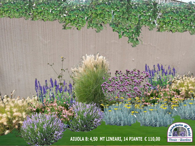 Un'aiuola con lavanda, erbacee perenni, graminacee e arbusti di salvia da fiore . giardino fa da te, giardino economico fai da te, aiuole fai da te, progettazione giardini, aiuola con elicriso, aiuola con stipa, aiuola a bassa manutenzione,  aiuola con salvie ornamentali, aiuola fiorita immagini, graminacee ornamentali, aiuole da copiare immagini