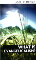 What Is Evangelicalism?